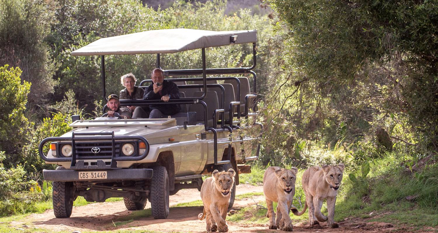 family safari garden route