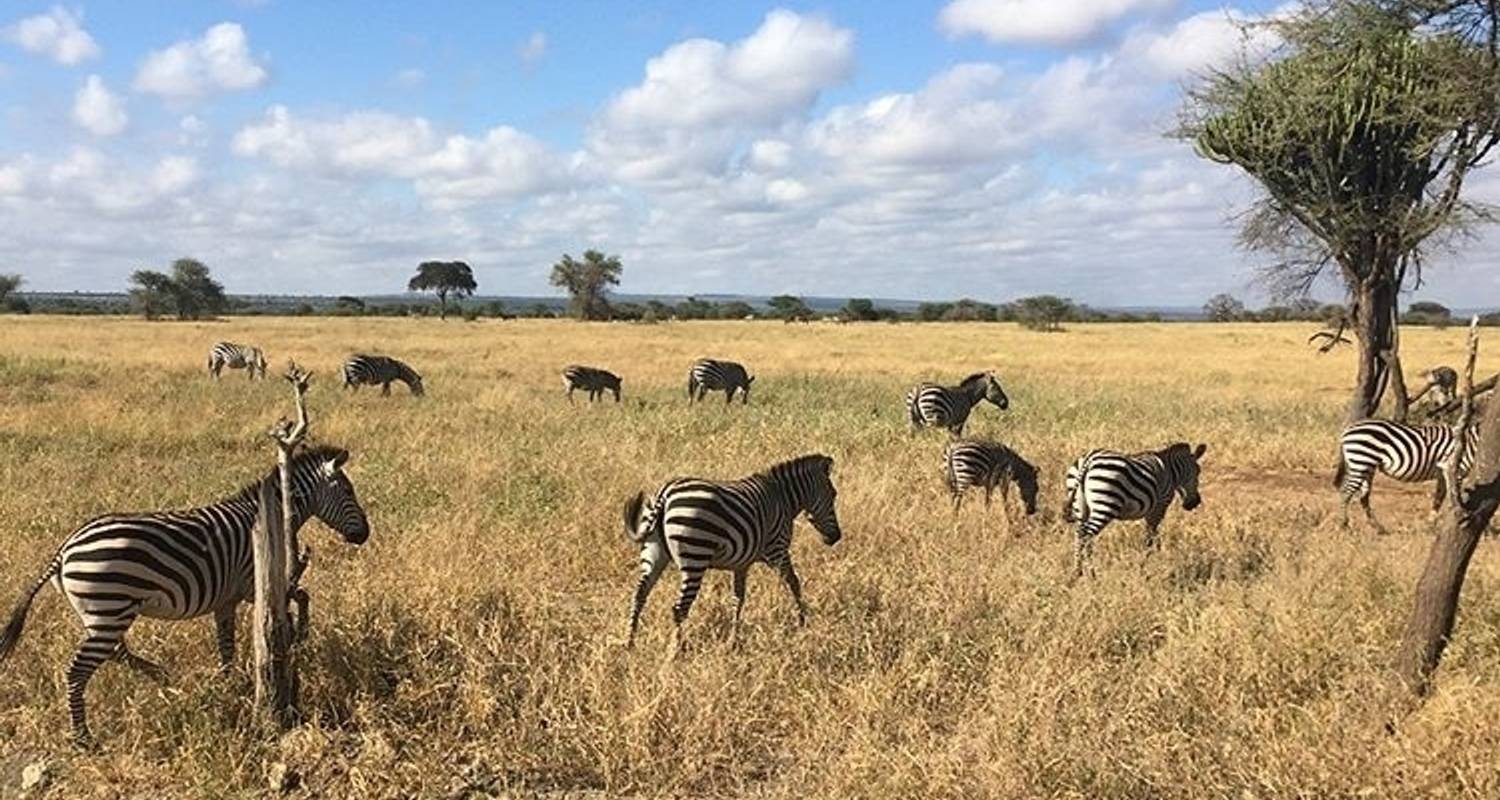 Excursiones de montaña Viajes desde Arusha