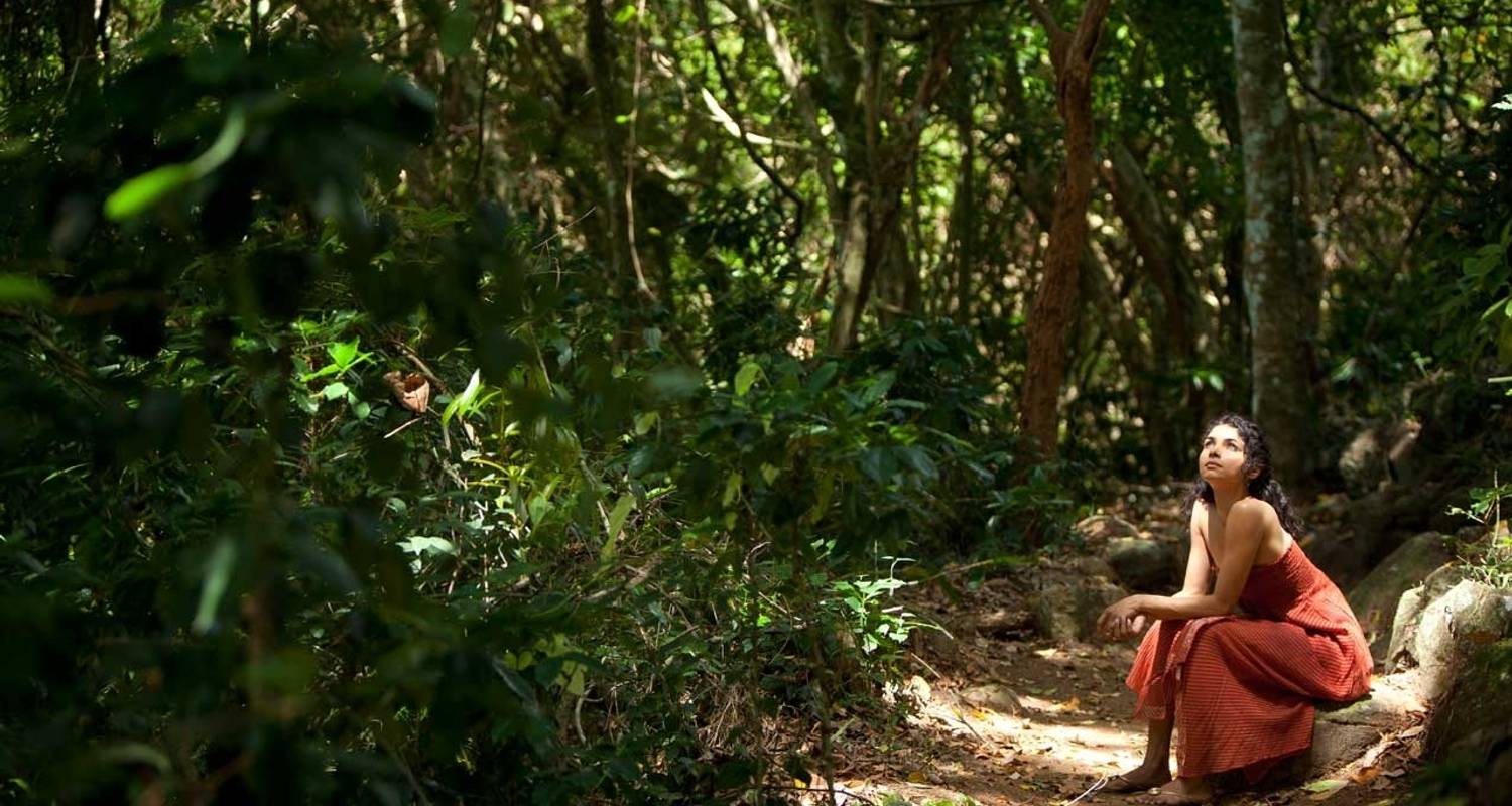 Discover Sri Lanka - 11 Days