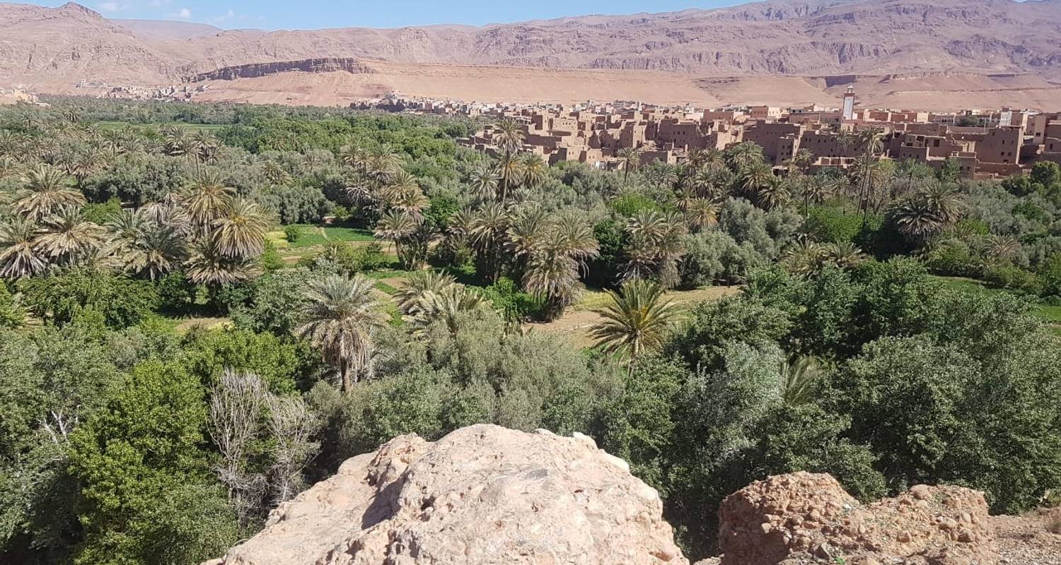 Ausflüge in die Sahara-Wüste in Marrakesch: Marrakesch nach Fes - TouaregTrails