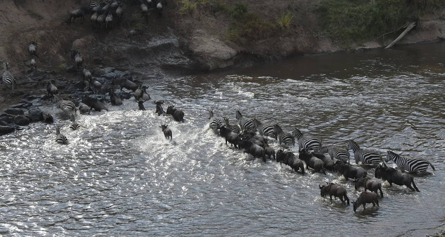 Safari por el Masai Mara - BESH AFRICAN ADVENTURES