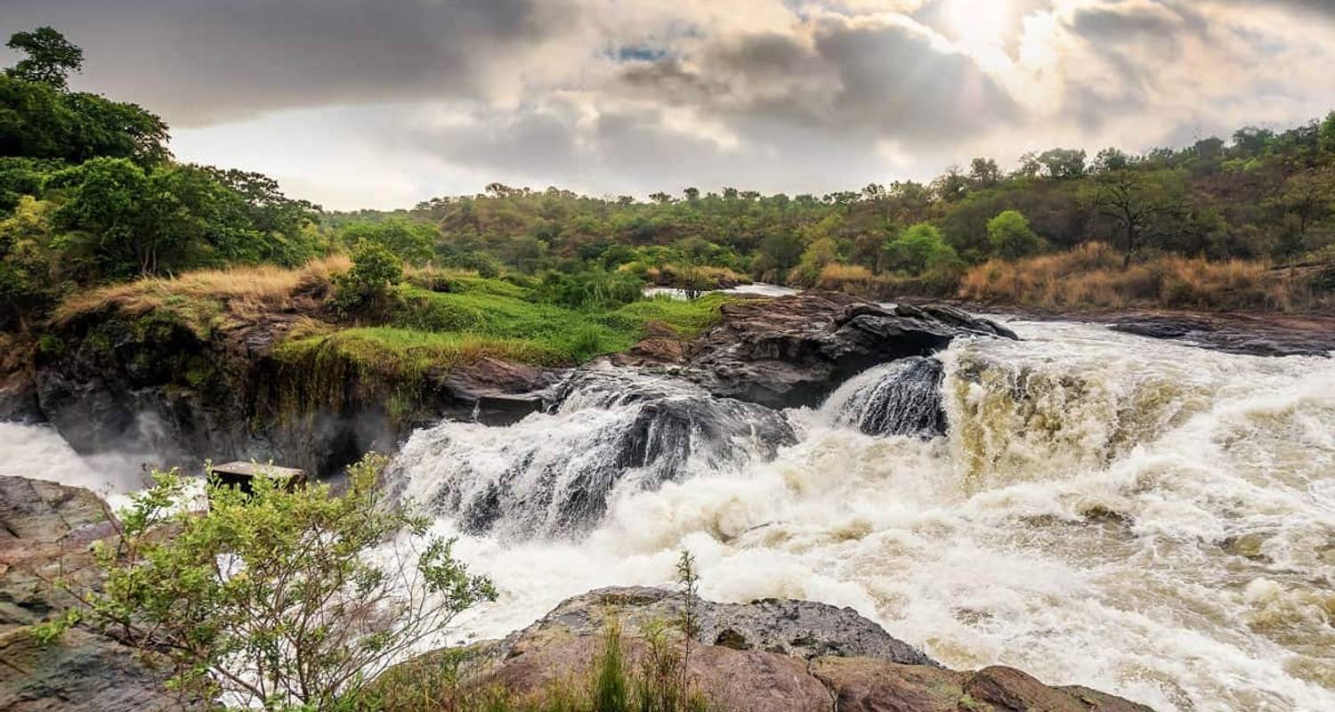 7-Day The Glorious North Murchison Falls & Kidepo Valley - Ovacado Adventures