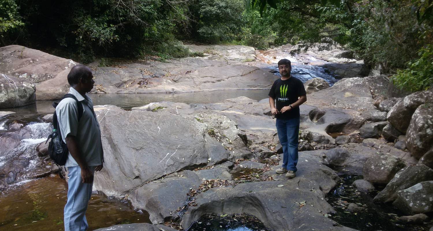 Kitulgala Rainforest Birdwatching & Waterfall Trek