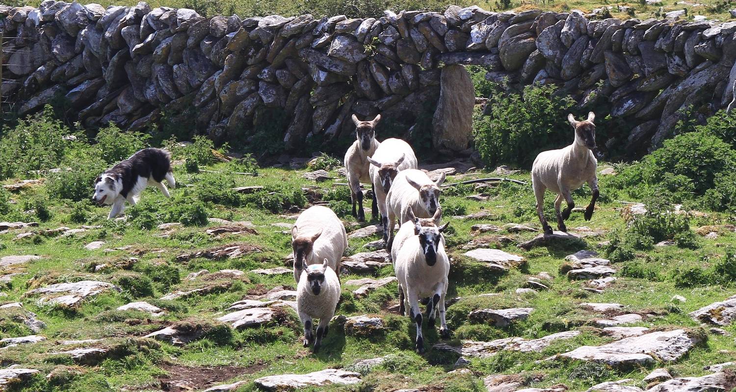 8-Day Emerald Explorer Small Group Tour