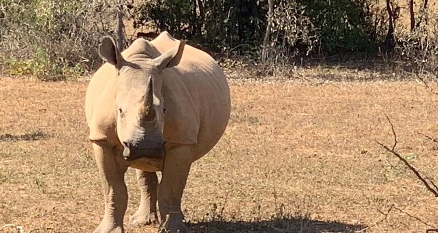 Safari Tours & Trips in Entabeni Natural Reserve