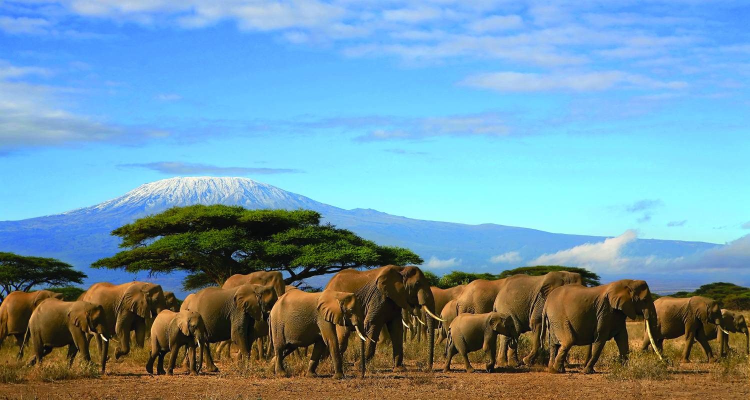 Afrikas Landschaft Kenia Wildlife Safari Von Collette Tourradar