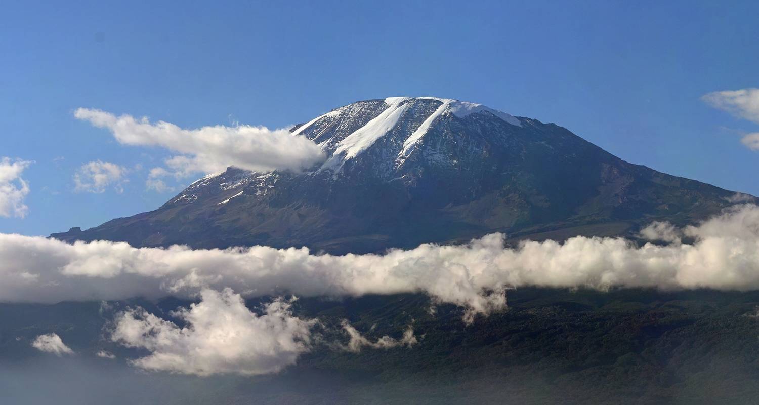Kilimanjaro Trekking Lemosho Route - 8 Tage - Afrishare Trekking And Safaris