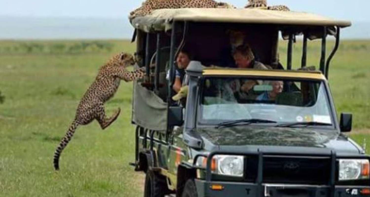 6 Nights | 7 Days: Classic Kenya Adventure Safari - Smile view Kenya tours and travel