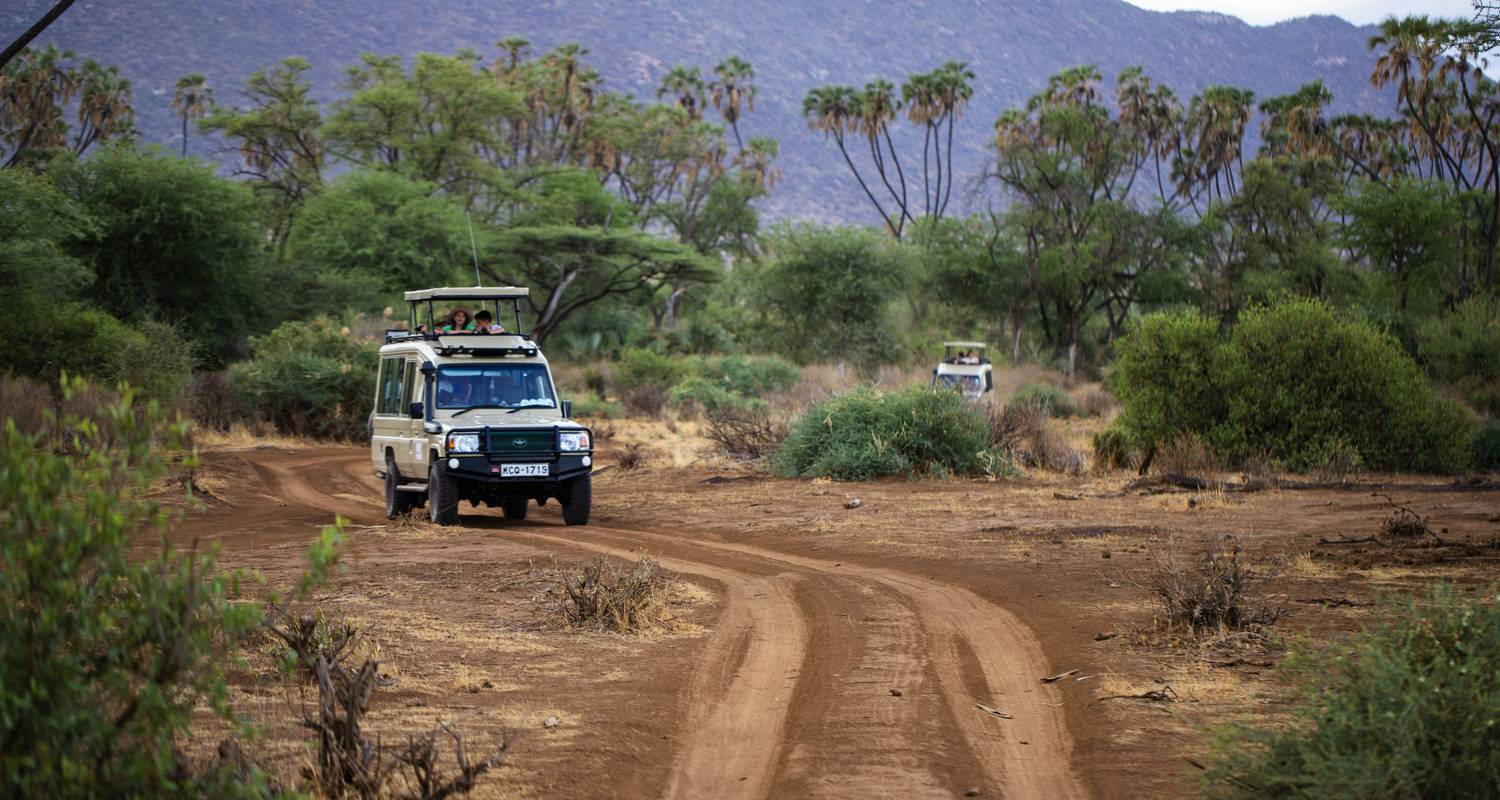 2 jours d'excursion au Sanctuaire de faune d'Ol Pejeta au départ de Nairobi - Smile view Kenya tours and travel