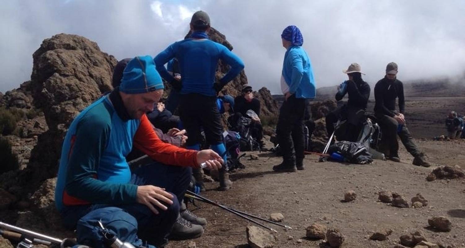 Kilimanjaro Besteigung über die Rongai Route (6/7 Tage ) - African Polecat Safaris