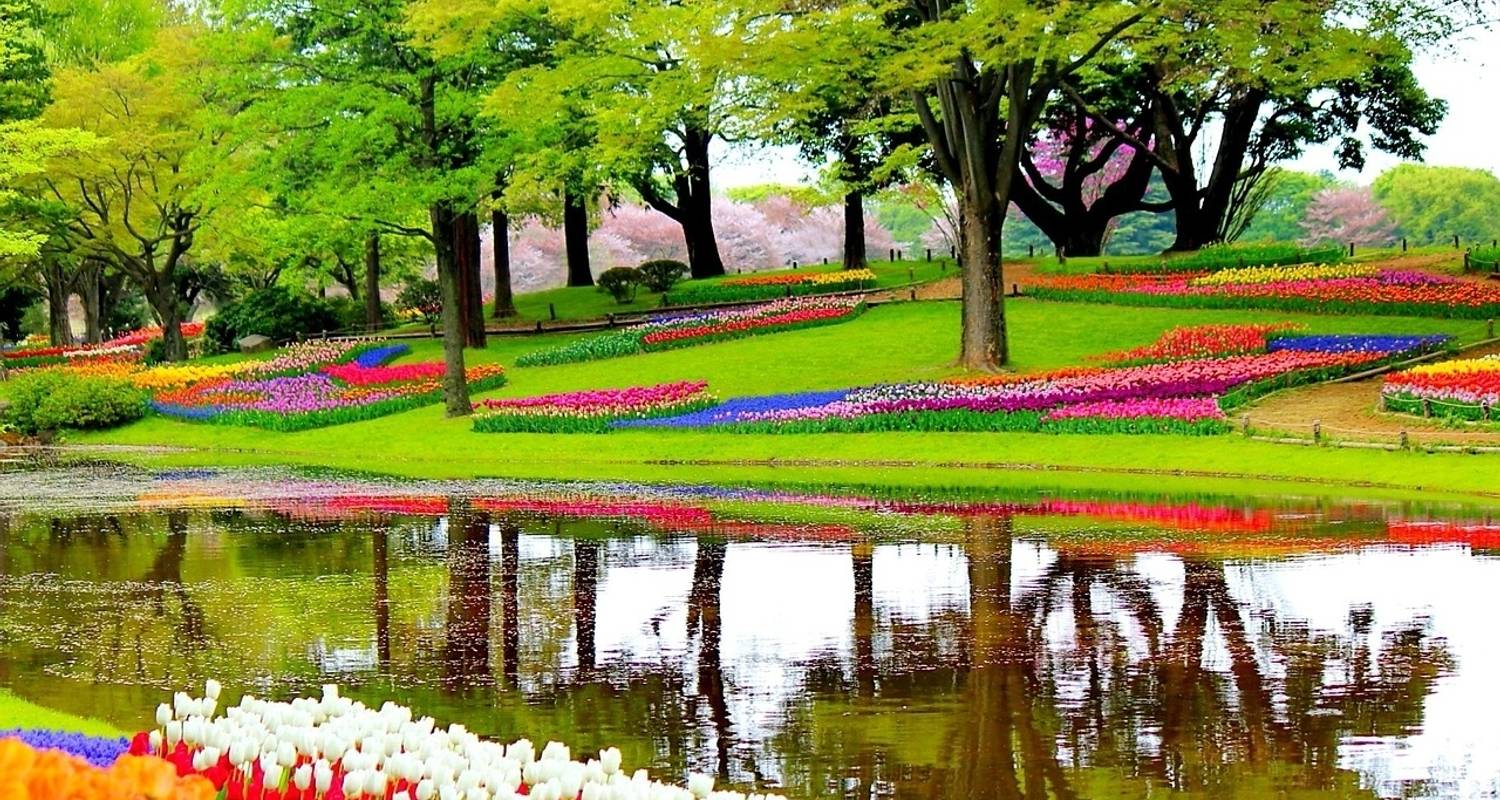 Holland & Belgium Antwerp to Amsterdam