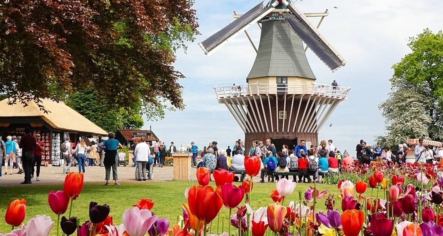 Holland & Belgium Antwerp to Amsterdam