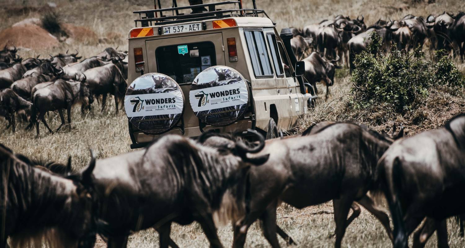 Tanzania Budget Camping - Gruppentauglich (5 Tage) - Seven Wonders Safaris