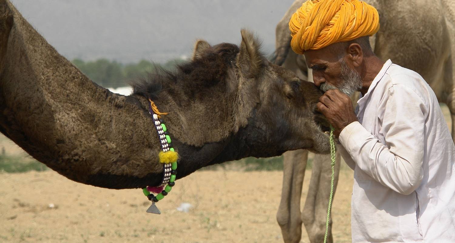 Goldenes Dreieck Rundreise (inkl. Pushkar) - Taj Holidays