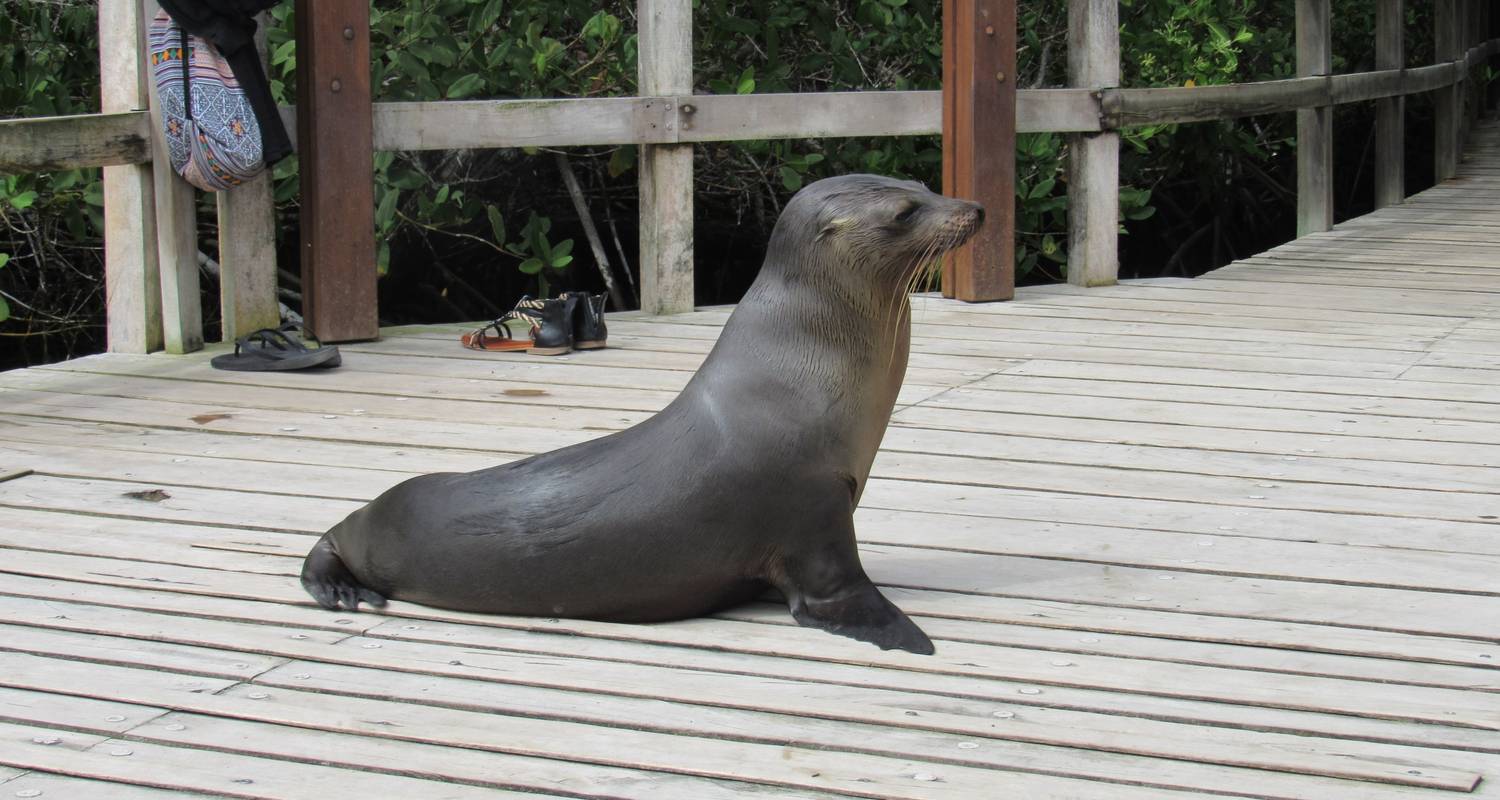 Beleef de Galapagos – 4 dagen - Cami Adventures