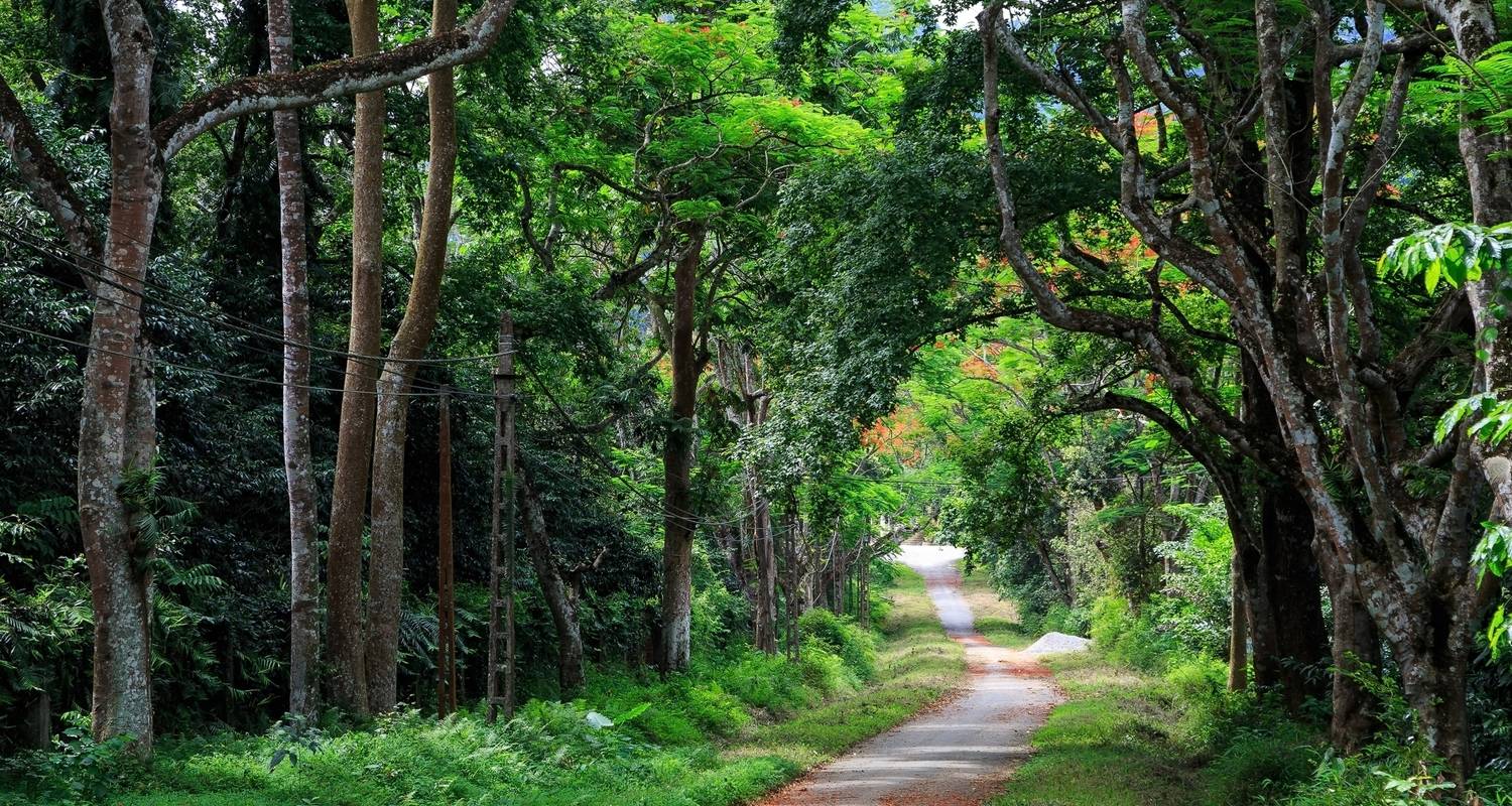 3 jours - L'expérience intéressante de la faune et de la flore de Cuc Phuong - Nhat Long Travel Company