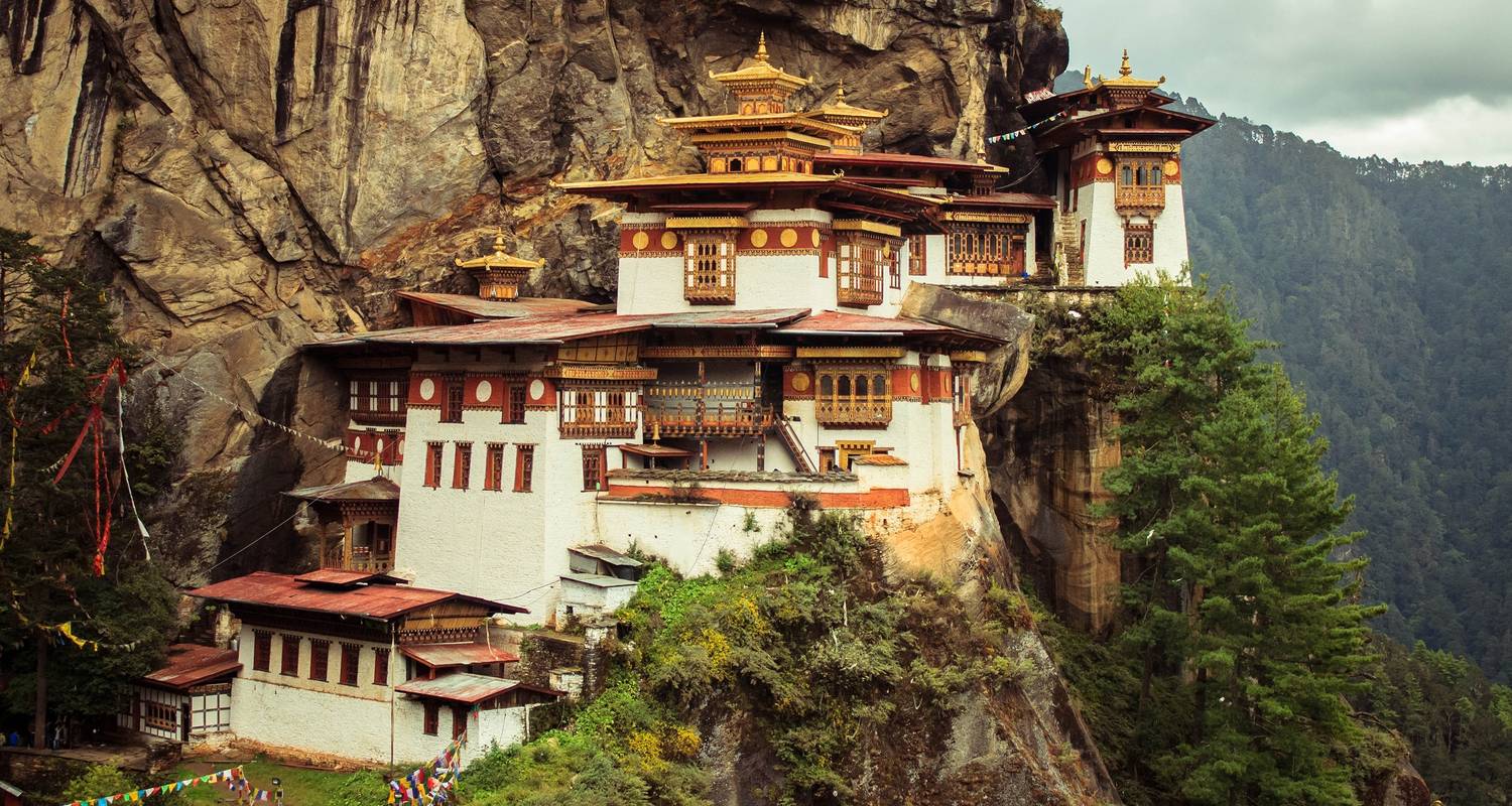 asia odyssey travel bhutan