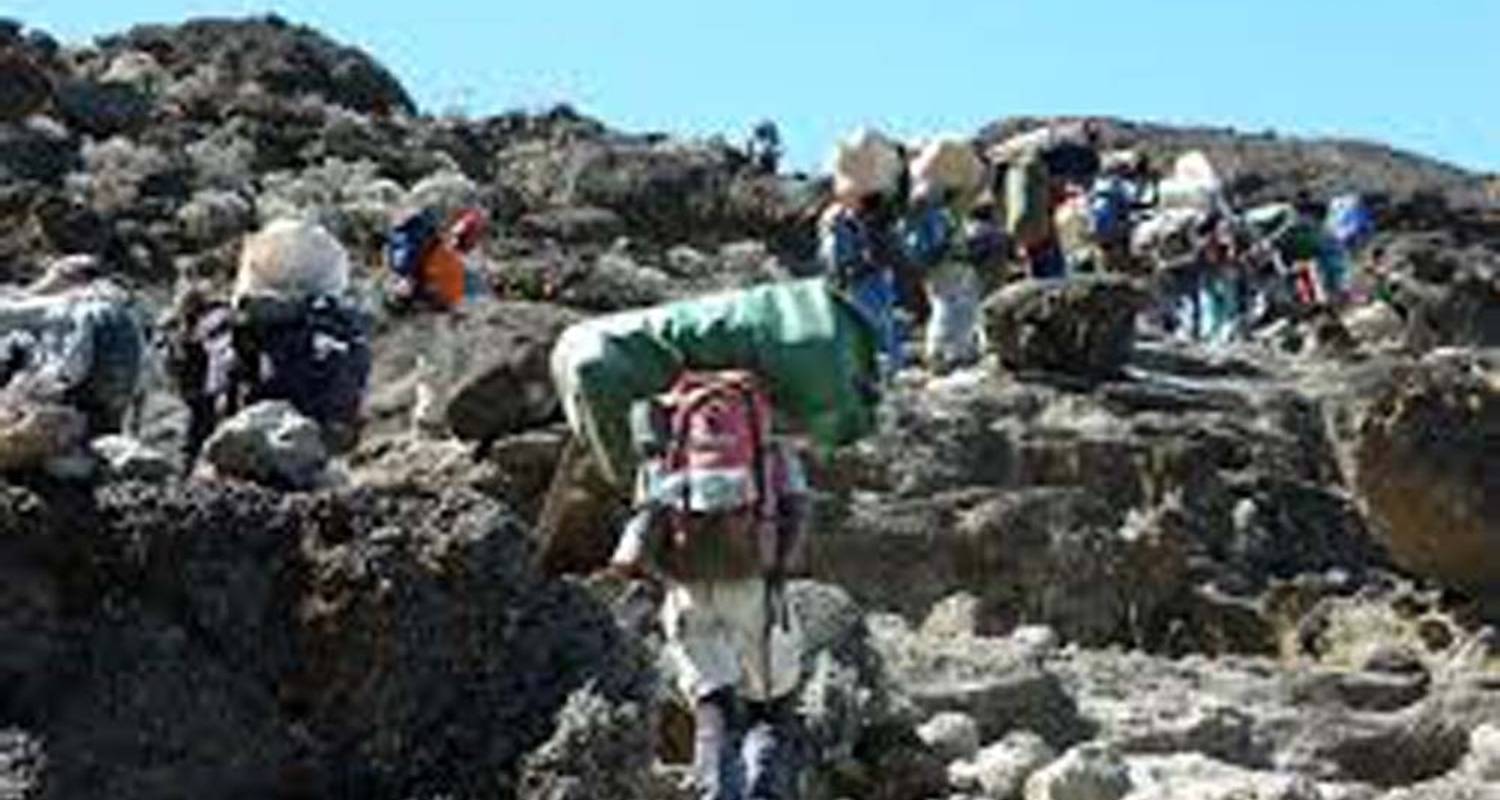 1 Día de Senderismo en el Kilimanjaro - Ruta Machame -  Travel Africa Safari Agency