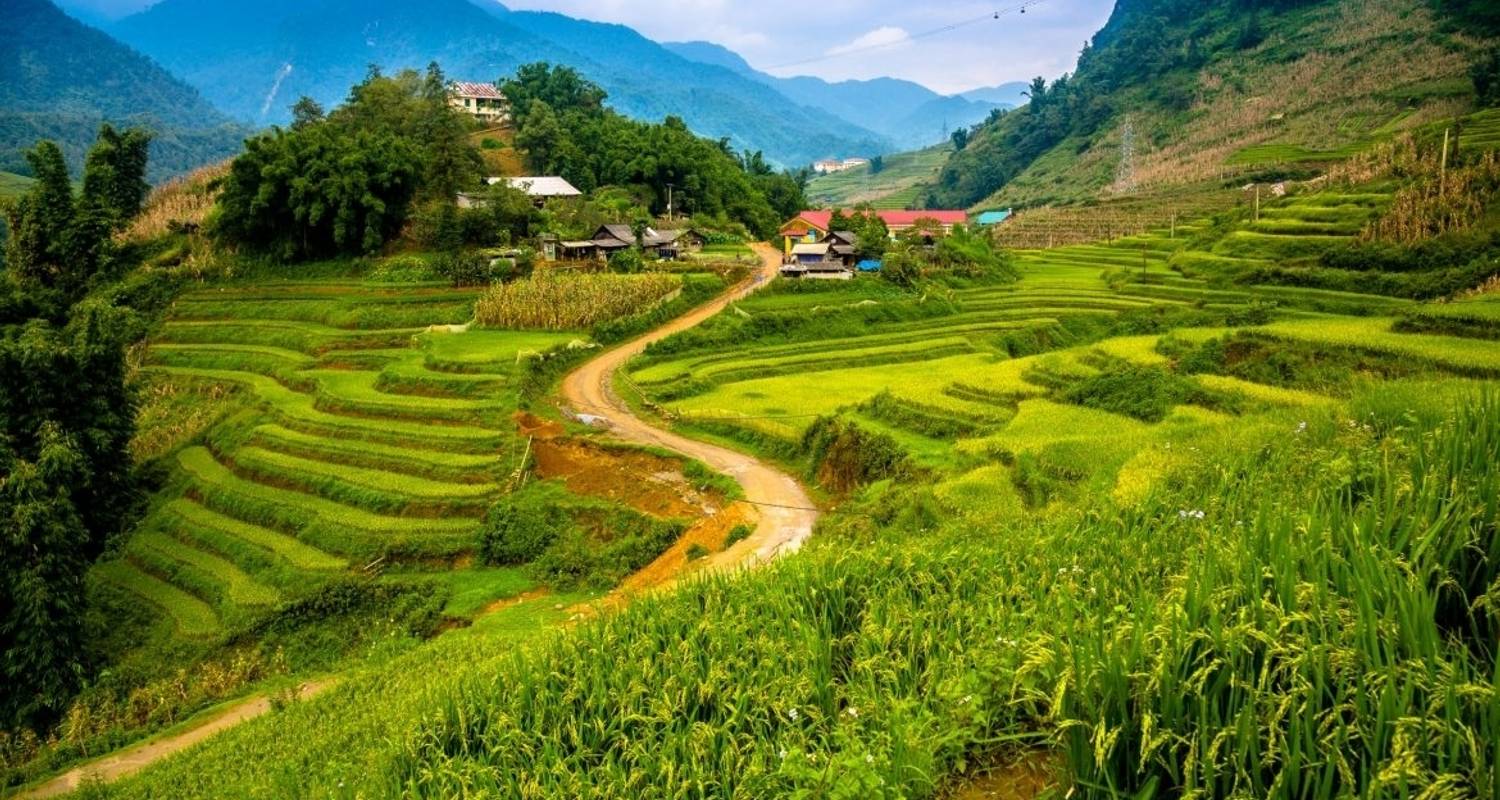 Vietnam Northern Tour to Hanoi - Sapa - Halong Bay - VietLong Travel