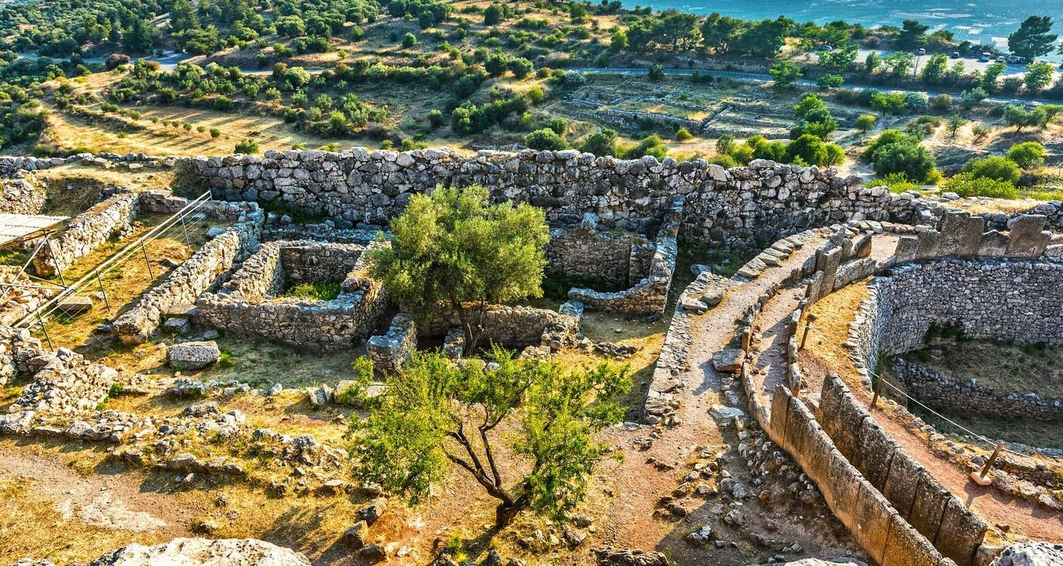 3 Day Private Tour in Mycenae, Olympia, Delphi, Honey & Olive Oil Tasting
