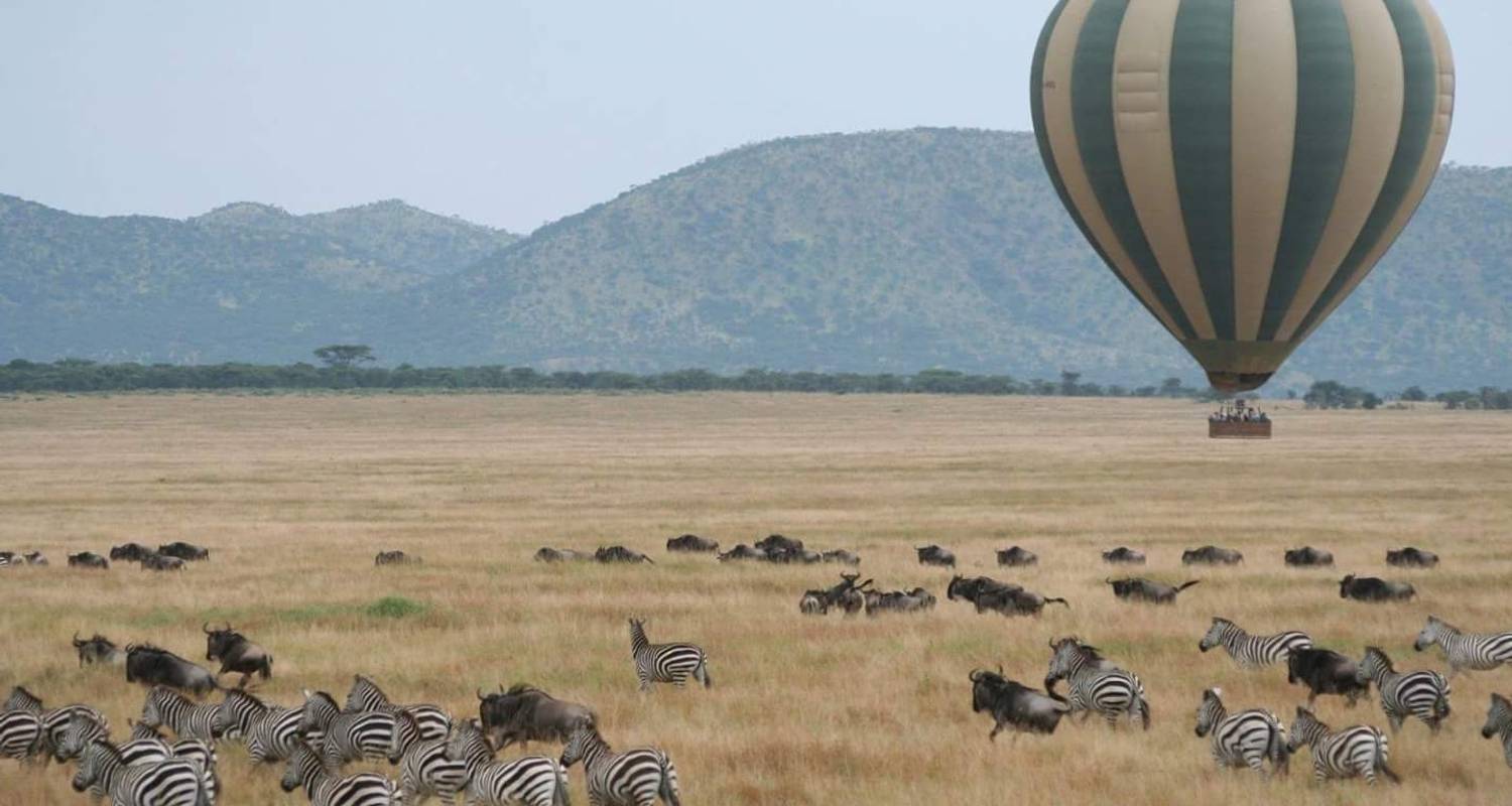 Safari de 4 jours au Maasai Mara et au lac Nakuru - Dallago Tours Kenya-Tanzania