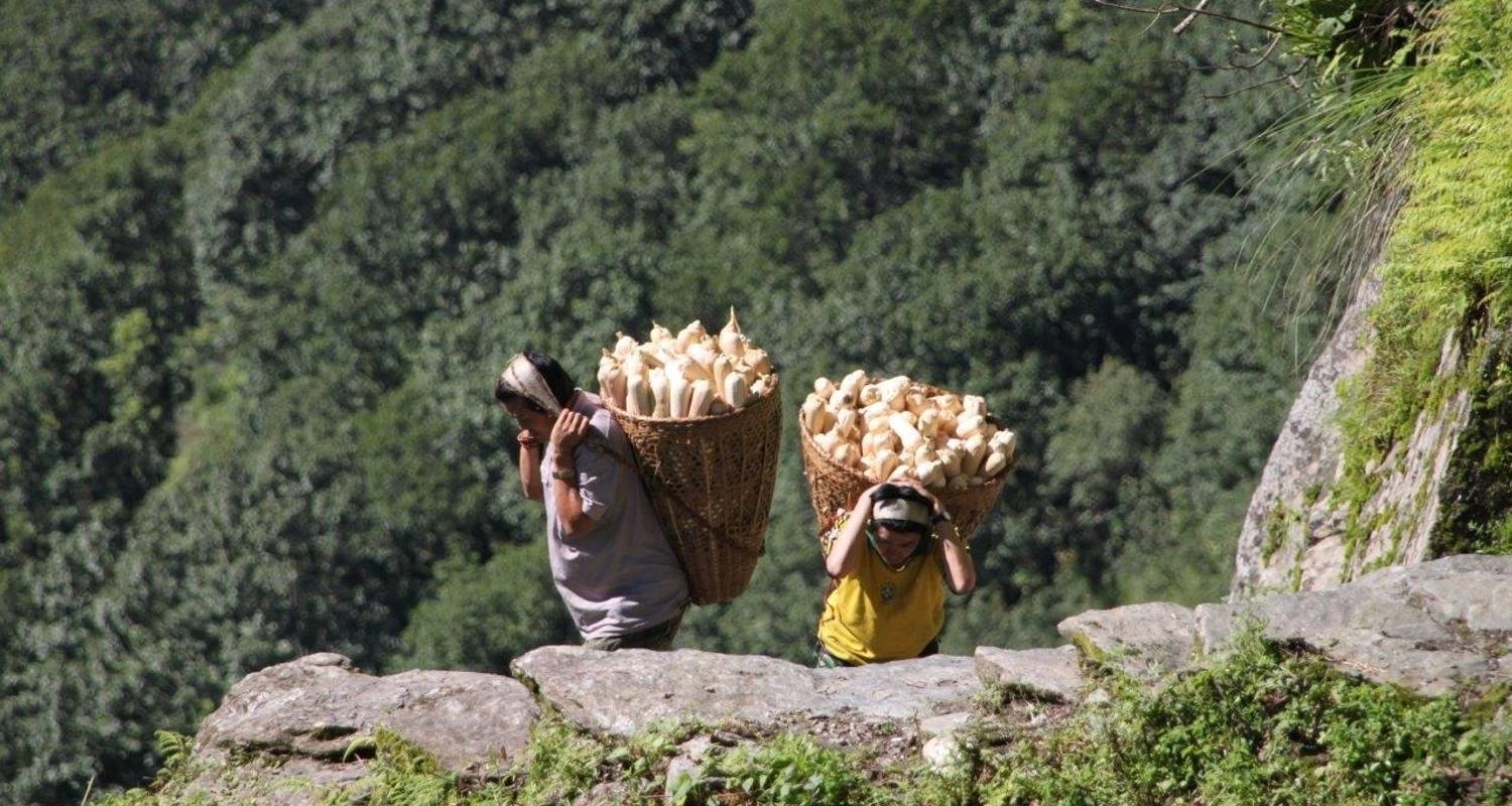 Ghorepani Poon Hill Trek