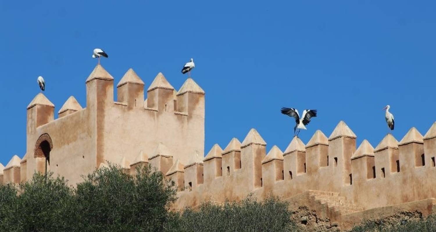 Circuit des villes impériales du Maroc au départ de Casablanca - Cultural Morocco Tours