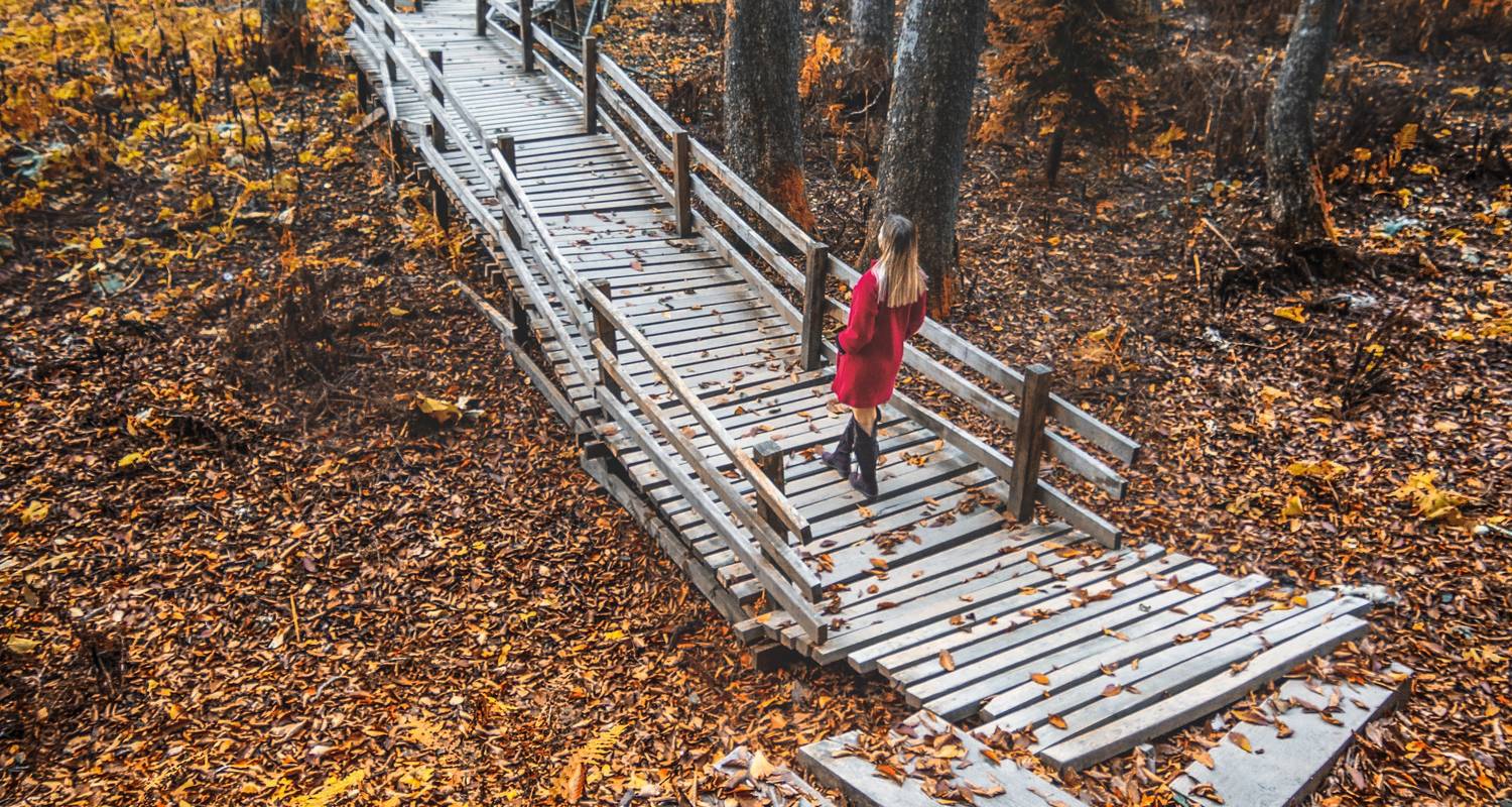 Best Fall Foliage Tours in the World TourRadar