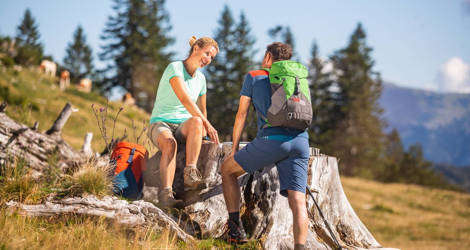 Alpine Pasture Hike in the Salzkammergut
