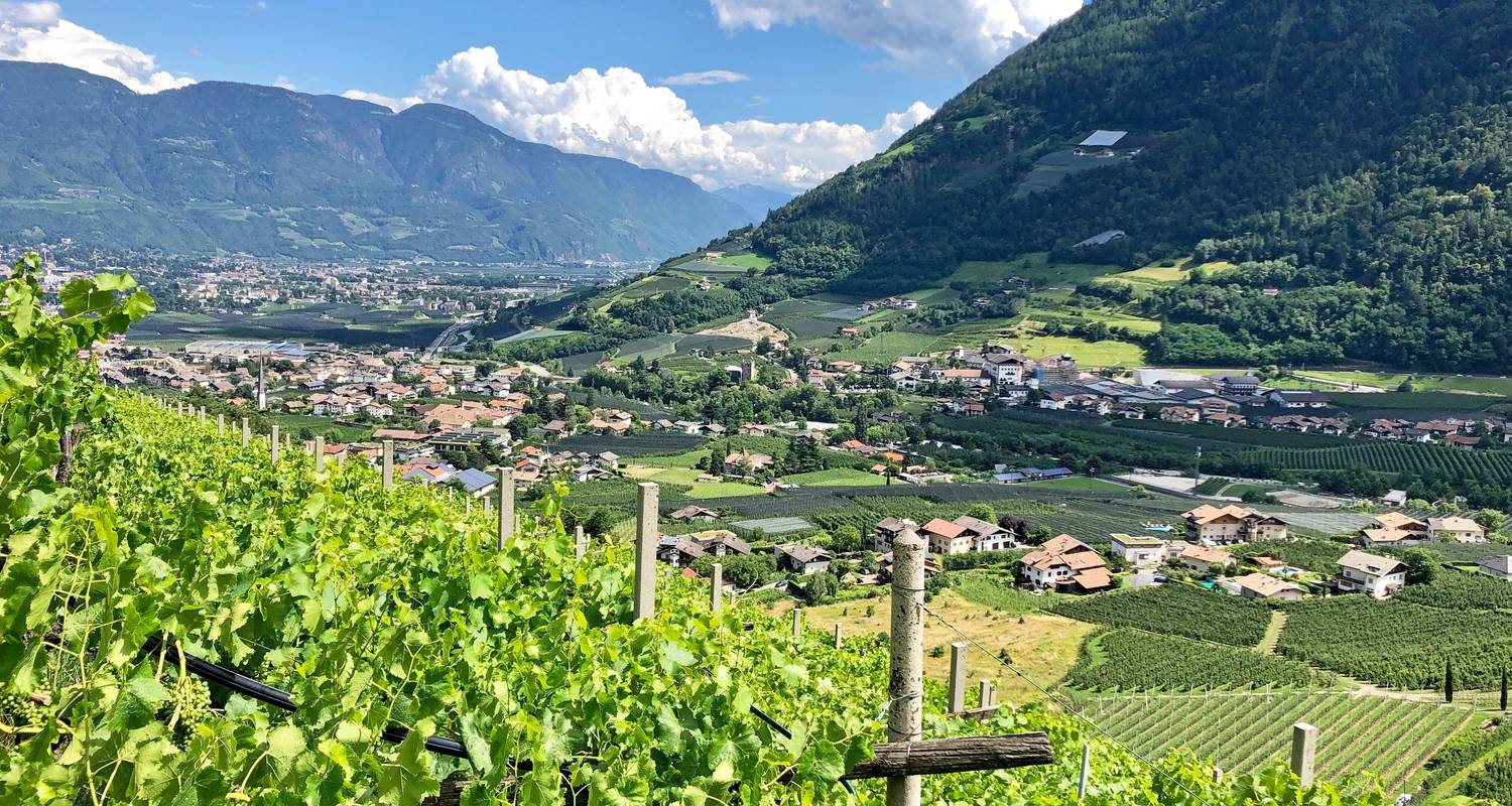 From Meran to Lake Garda Hike & Charm