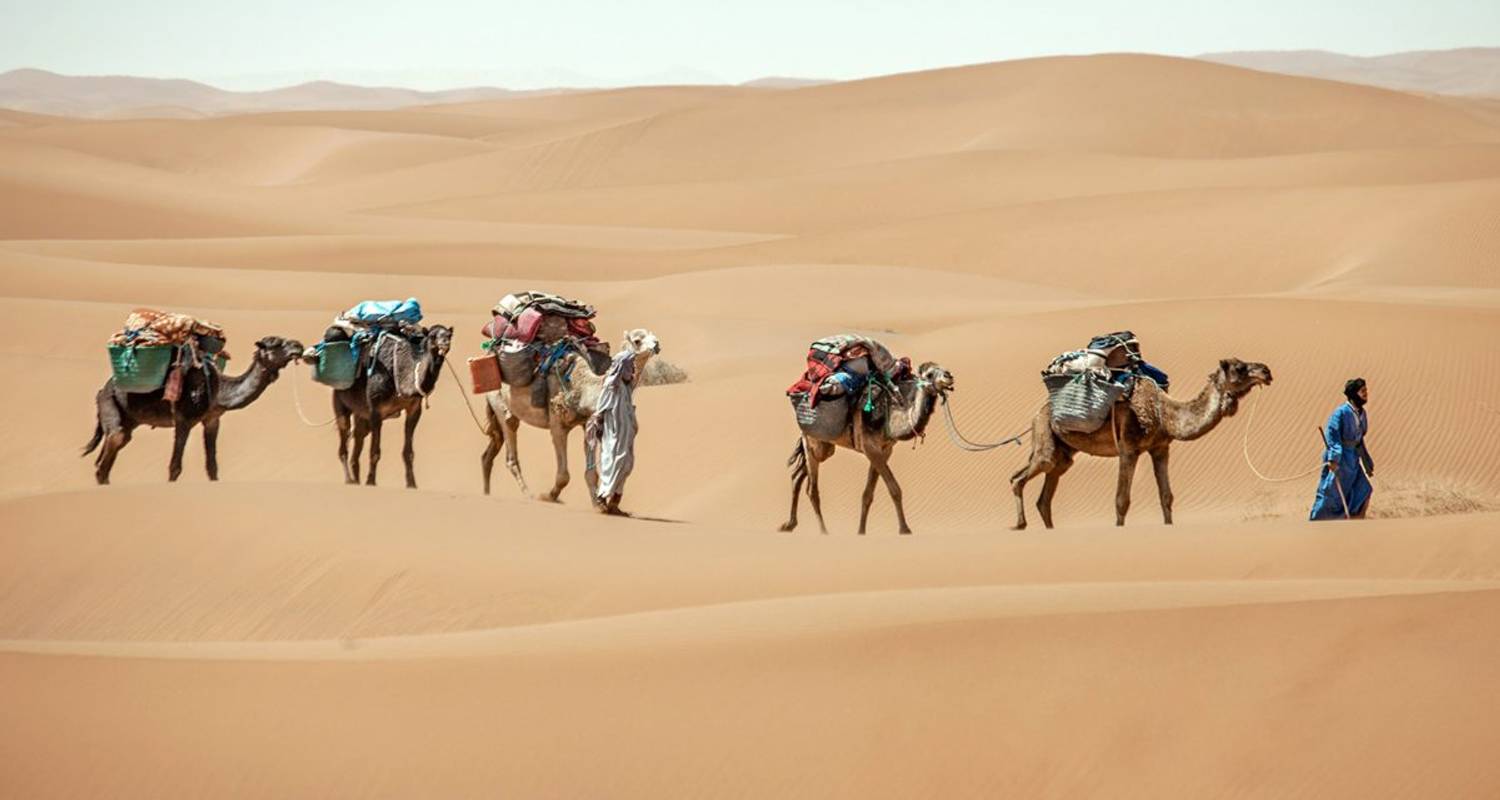 Camel Trek 9 dagen naar Erg Chigaga - Desertbrise Travel