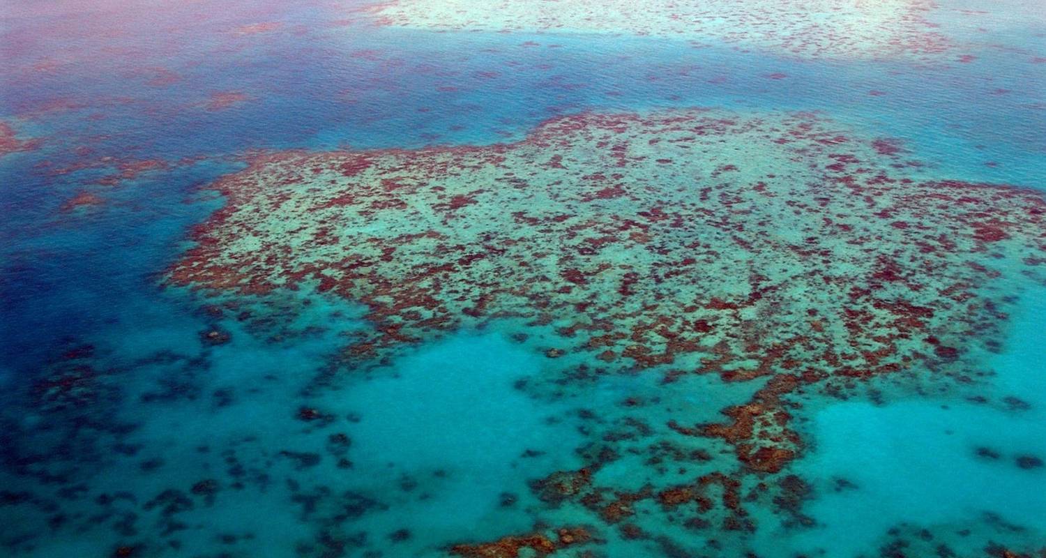 Cairns y la Gran Barrera de Coral - AAT Kings