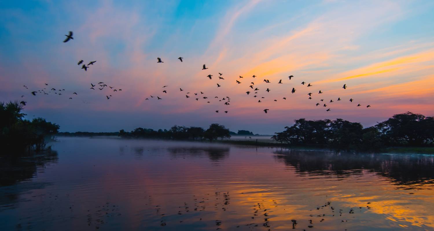 Kakadu & Katherine Gorge Wet Season (Short Break, 3 Days) - AAT Kings