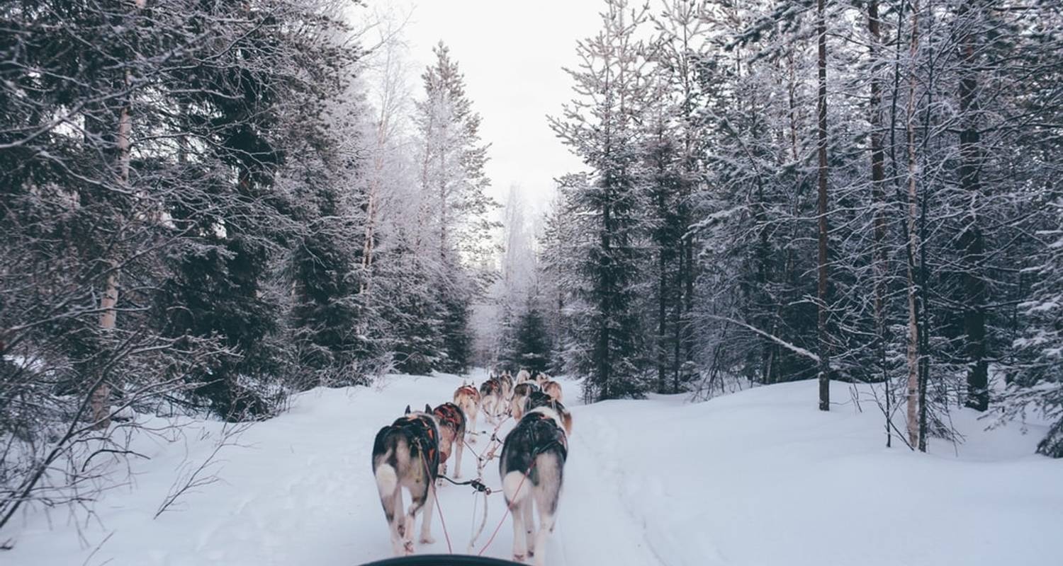 Lapland Family Explorer - 5 Days - On The Go Tours