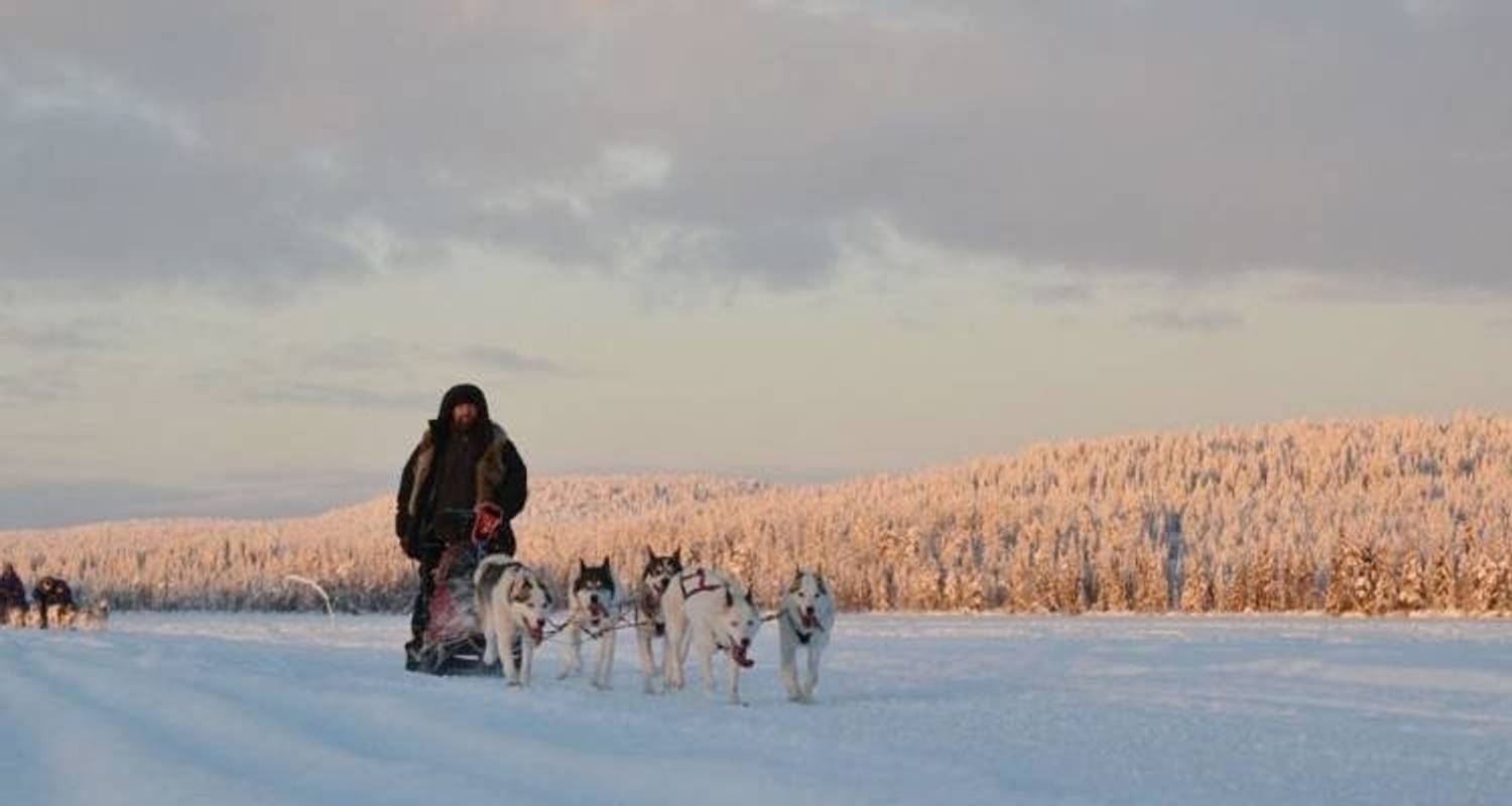 Finland Wilderness Discovery - 5 Days - On The Go Tours