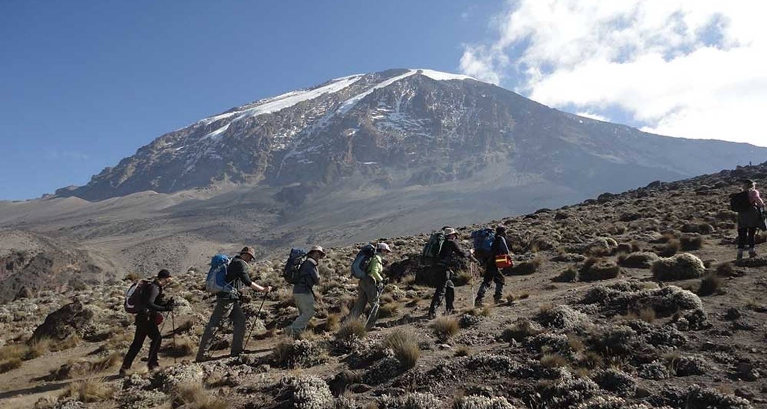 6 Day Kilimanjaro Trekking Tour Via Machame Route - Serengeti African Tours