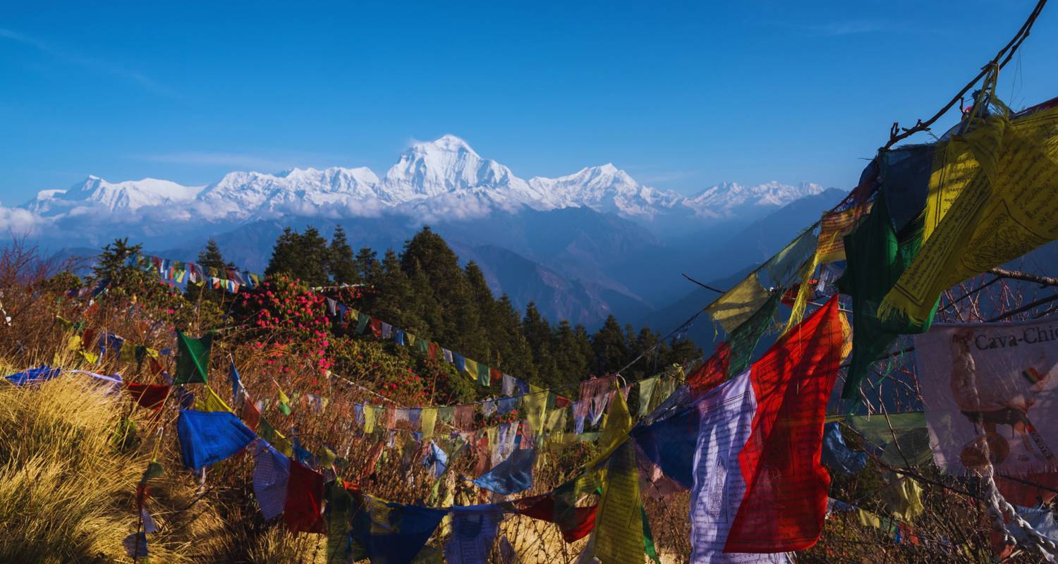 Trek panoramique de l'Annapurna de 8 jours au départ de Katmandou - Liberty Holidays