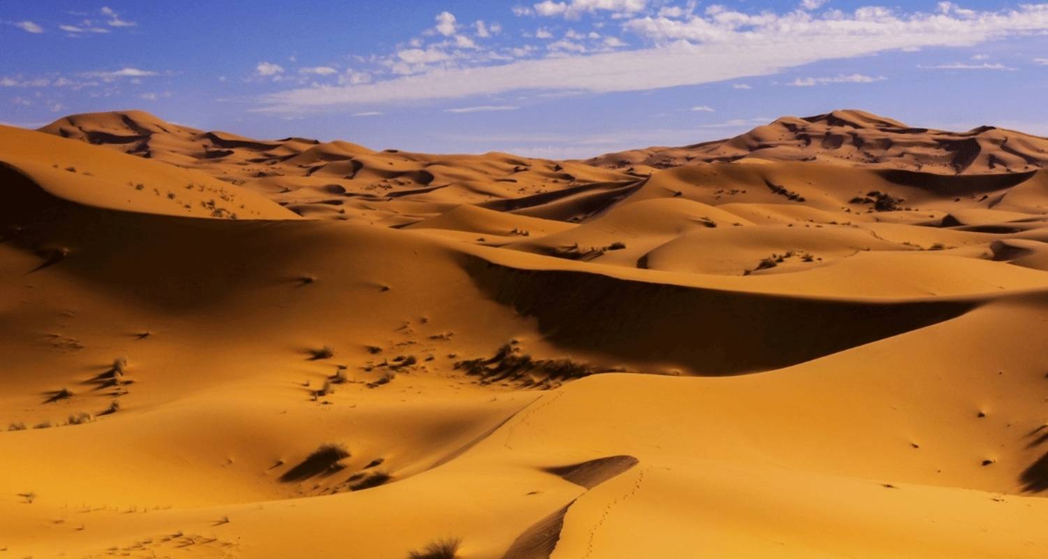 5 jours d'excursion dans le désert d'Essaouira à Fès - Guided Morocco Tours