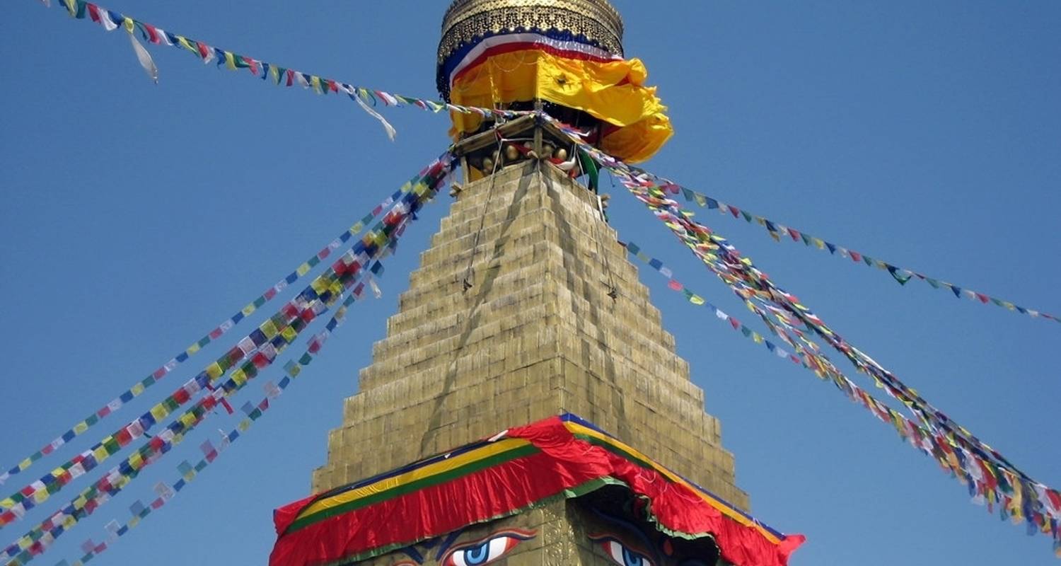 Circuits et voyages Photographie de faune et nature – Montagnes de l'Himalaya