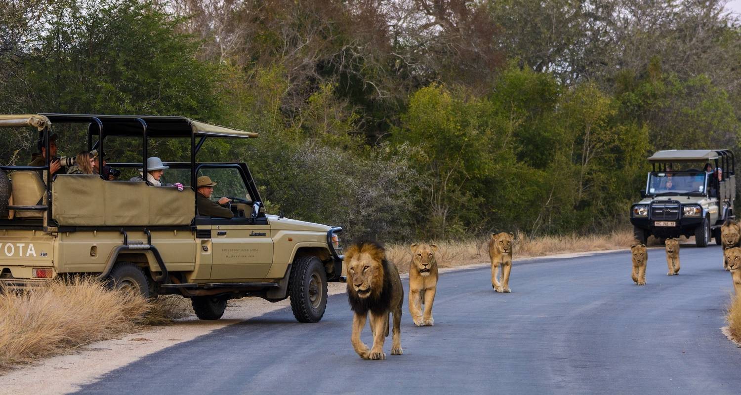 4 day safari from johannesburg