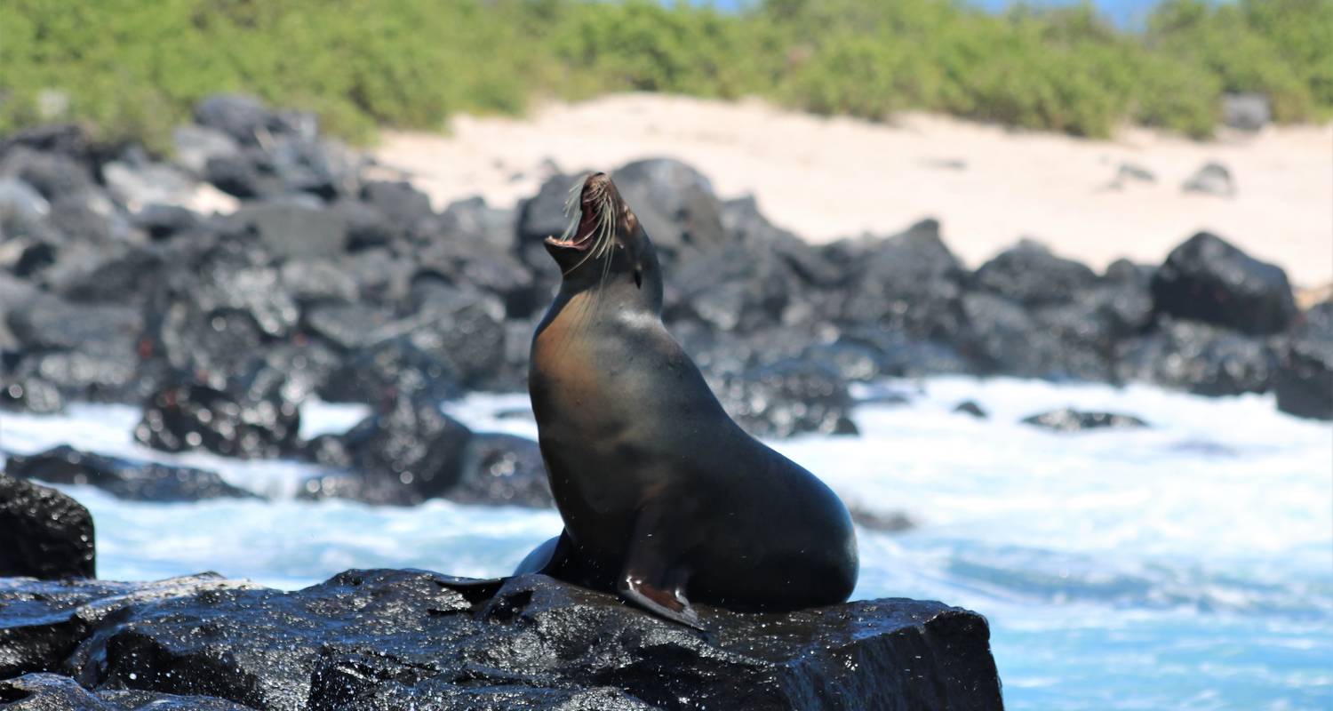 Natuurlijke Galapagos - True Ecuador Travel