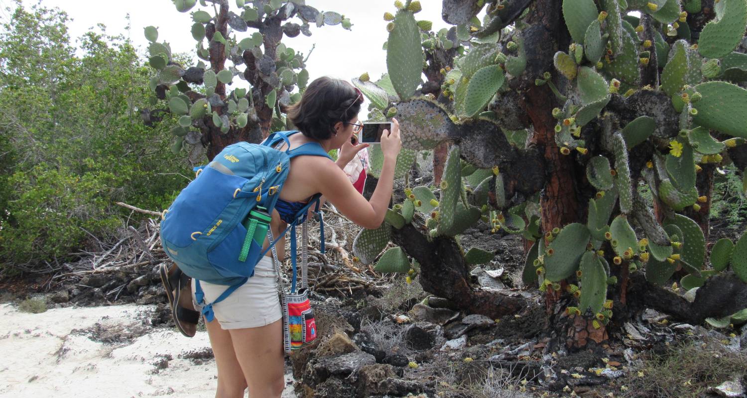 Plongée sous- marine aux Galápagos - 6 jours - Cami Adventures