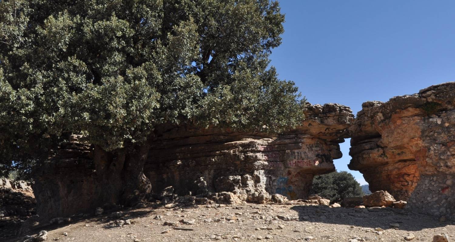 Randonnée dans les montagnes de l'Atlas - Morocco Discoveries