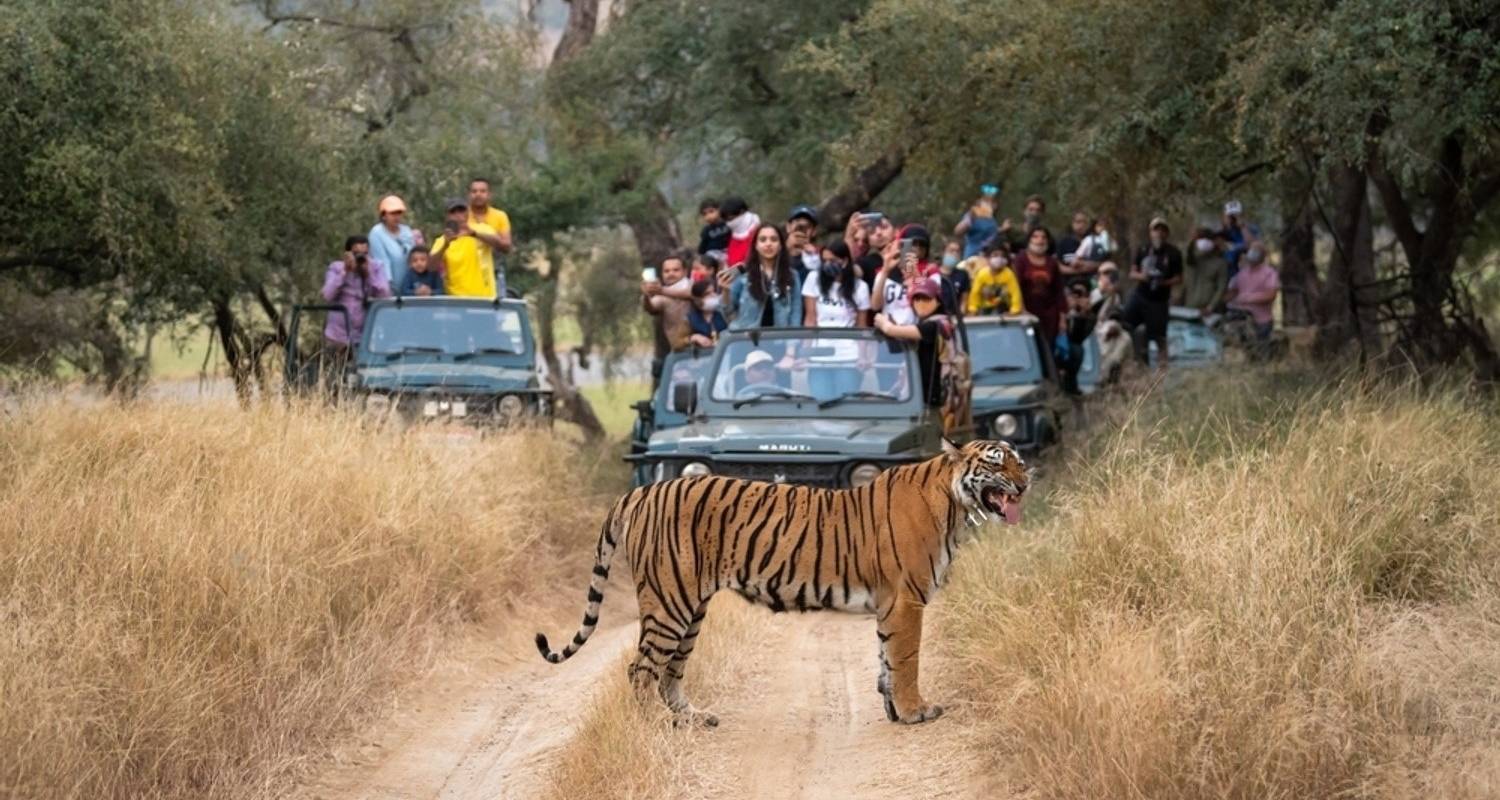 Circuit de 4 jours dans le Triangle d'Or avec Ranthambore au départ de Delhi - Travelaera