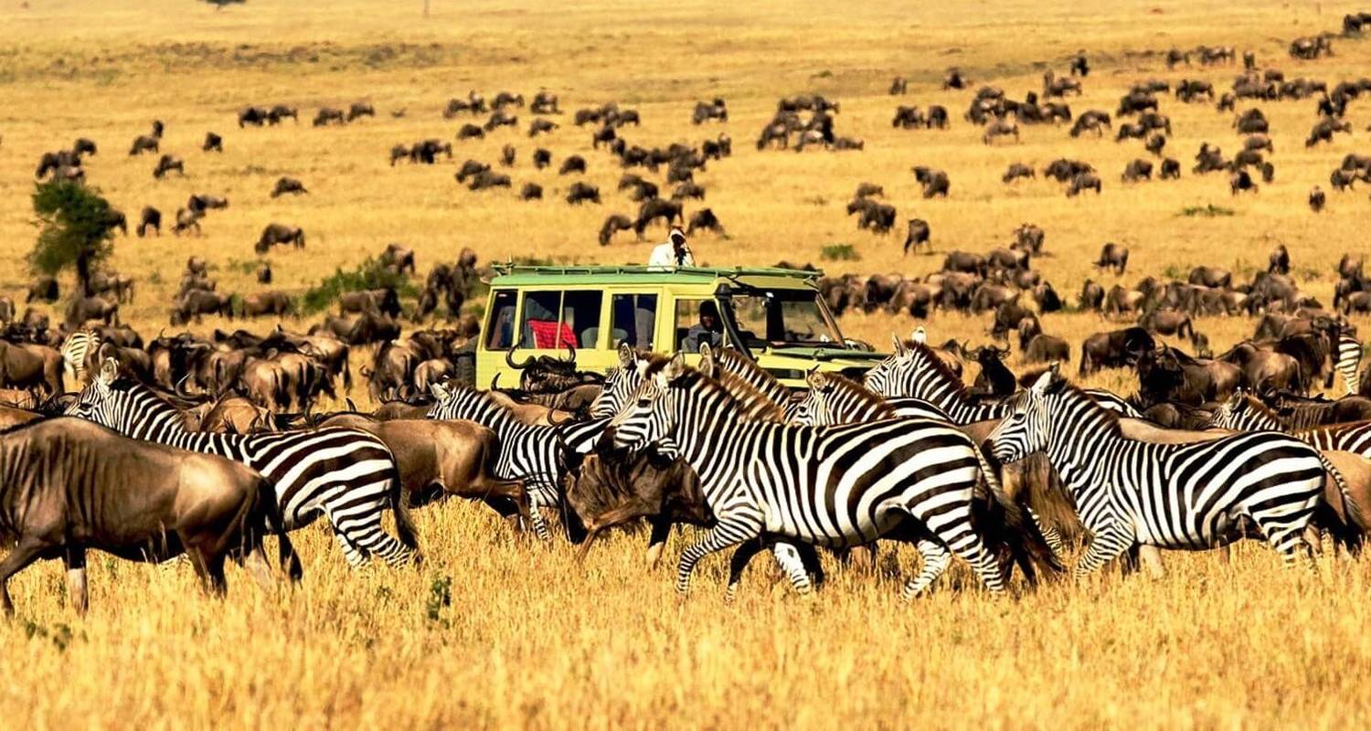 safari serengeti e ngorongoro