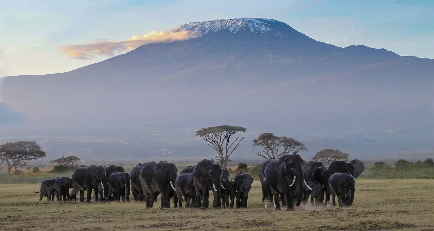 6 Days/ 5 Nights Adventure in Masai Mara, Lake Nakuru, Amboseli (Comfort) - Across Africa Tours & Travel