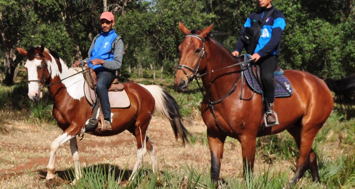 Trek à cheval, cuisine et spa au Maroc - Morocco Discoveries