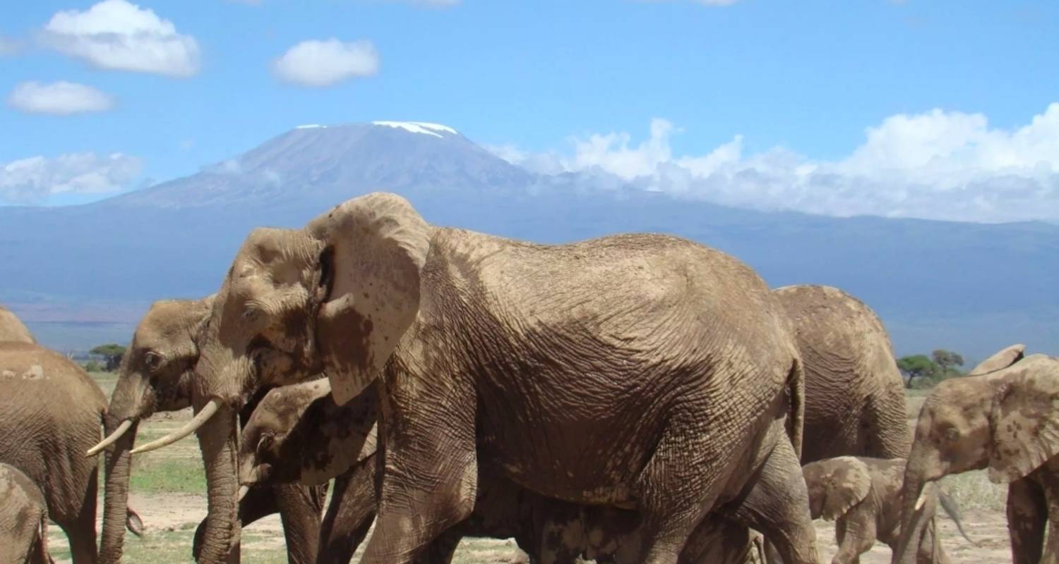 Geführte Rundreise Lake Nakuru