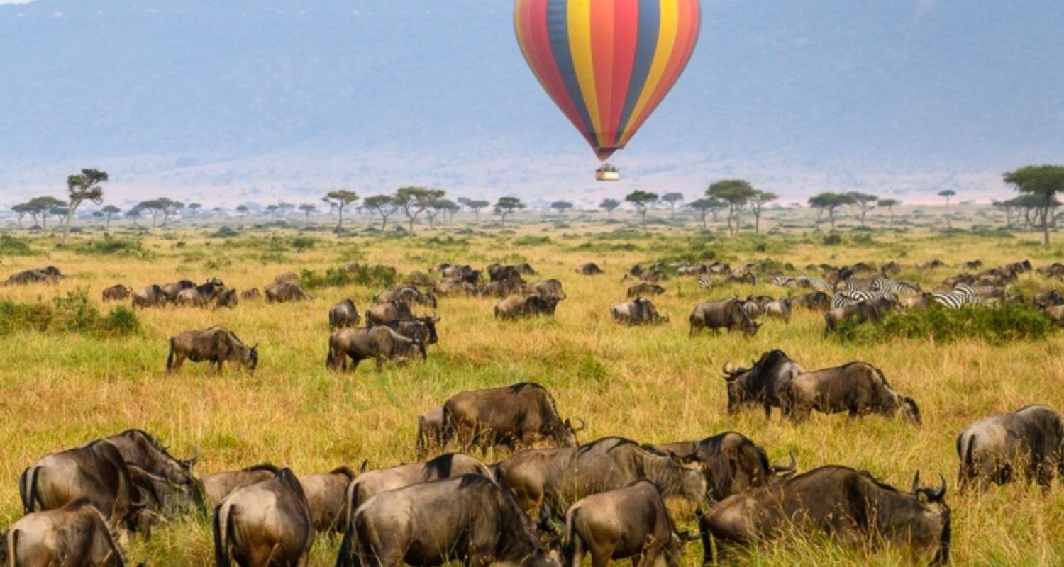 Maasai Mara — See Nakuru Abenteuerreise - 4 Tage - Across Africa Tours & Travel