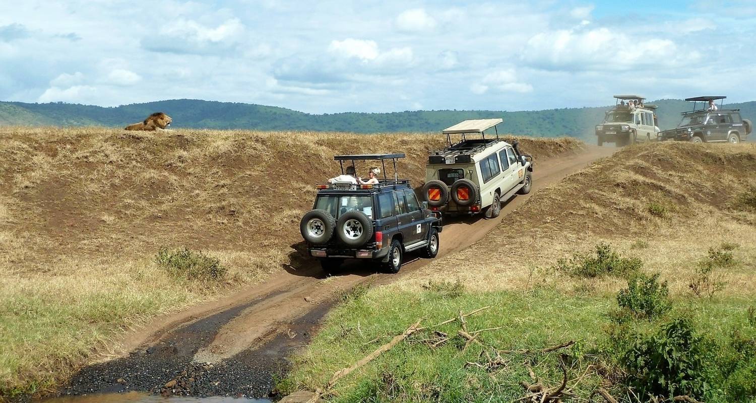 3Days 2Nights Ngorongoro et; Lake Manyara - Comfort plus - Across Africa Tours & Travel